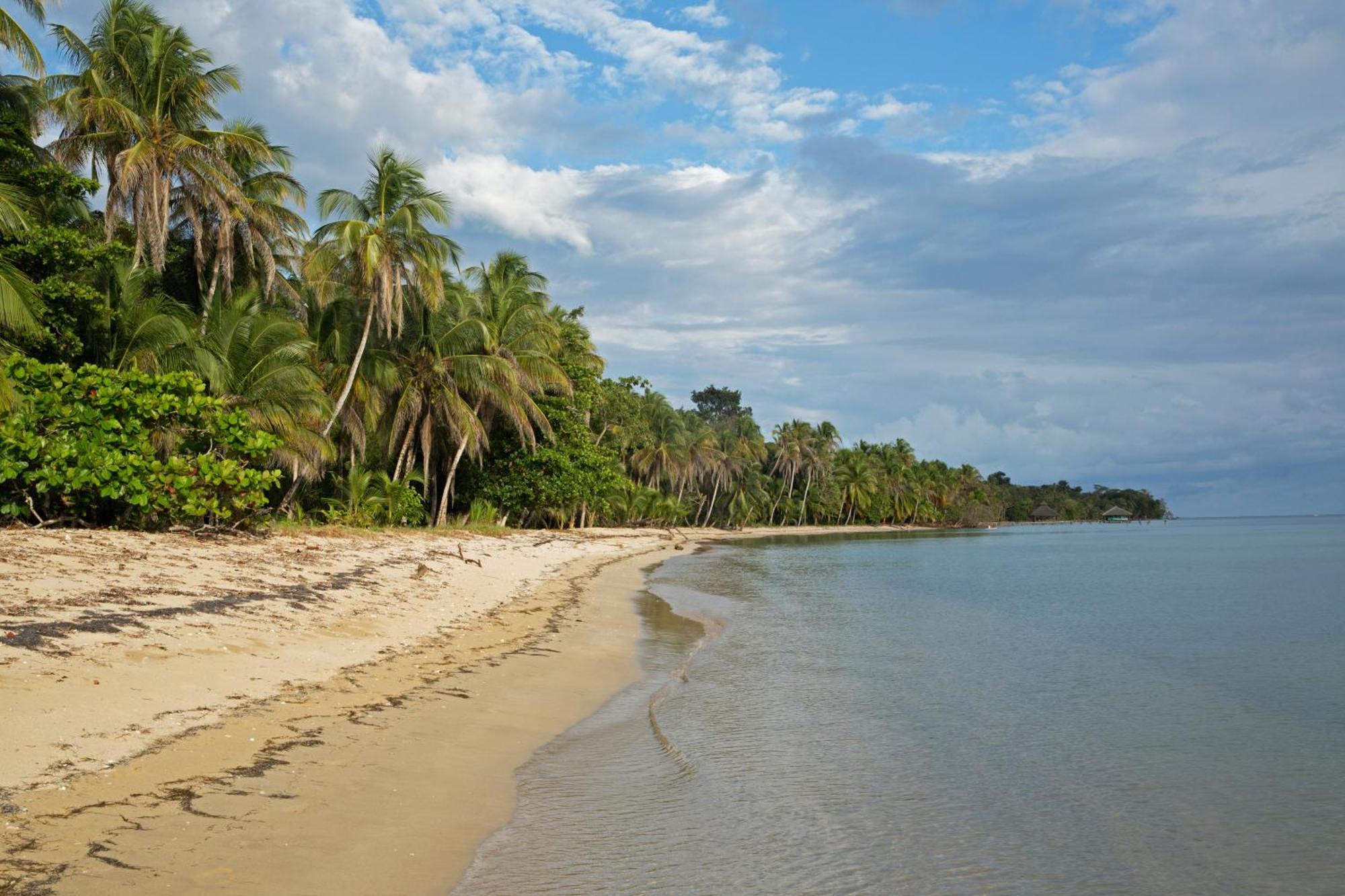Residencia Natural *